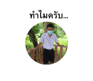 597333169