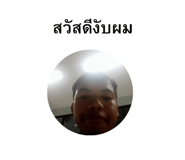 597333173