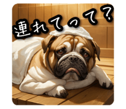 597335023