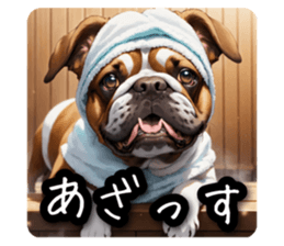 597335038