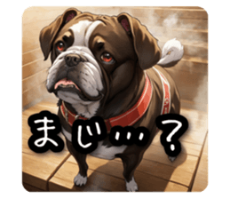 597335042