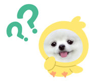 597375606