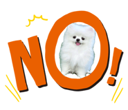 597375608