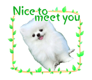 597375609
