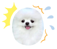 597375610