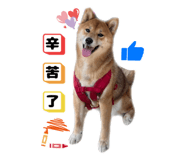 597376881