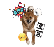 597376893