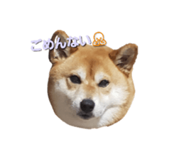 597390180