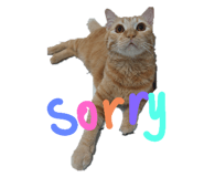 597408828