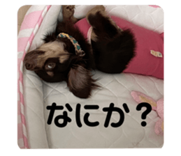 597425355