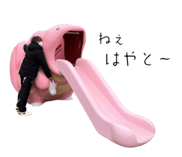 597505038