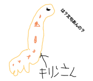 597528972