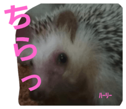 597541391