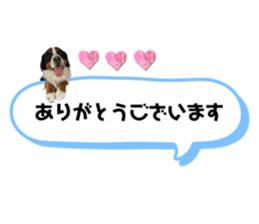 597560994
