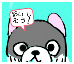 597566529