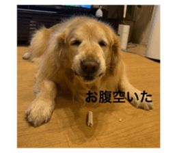 597569048