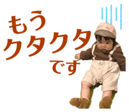 597576338