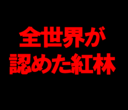 597586147