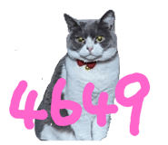 597593675