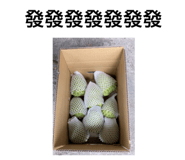 597599803