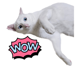 597600899