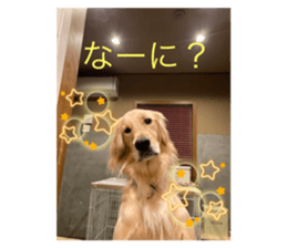 597609567