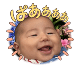 597623221