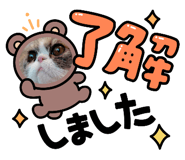 597639180