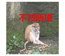 597647249
