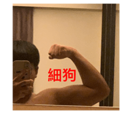 597647251