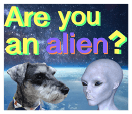 597658962