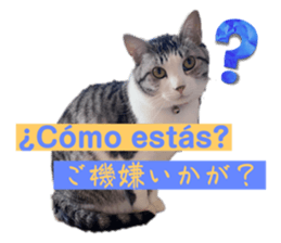 597664398