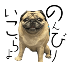 597665476