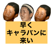 597666976