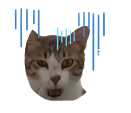 597668487