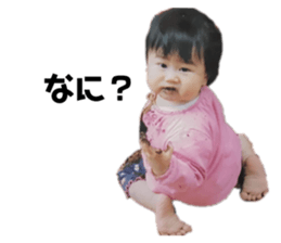 597676808