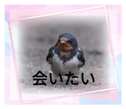 597686230