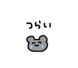 597726913