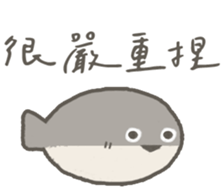 597738579