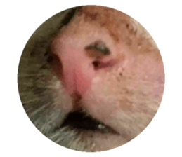 597739133