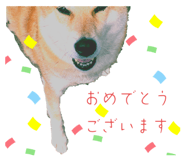 597739790