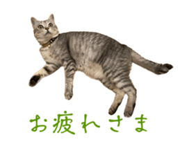 597755327