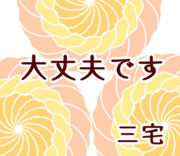 59779019