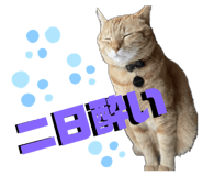597811705