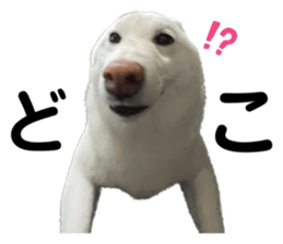 597819641