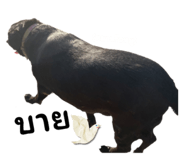 597840676