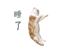 597850615