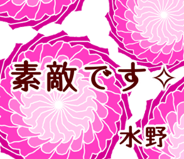59795213