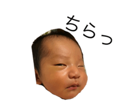 597955913
