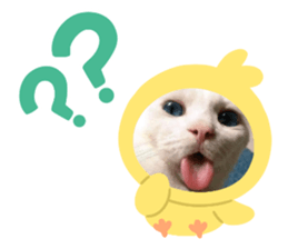 597967636